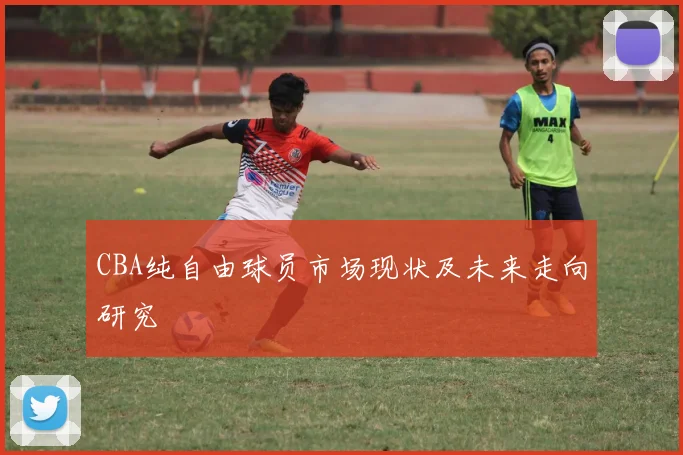 CBA纯自由球员市场现状及未来走向研究
