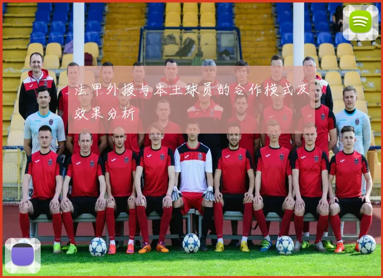 法甲外援与本土球员的合作模式及效果分析