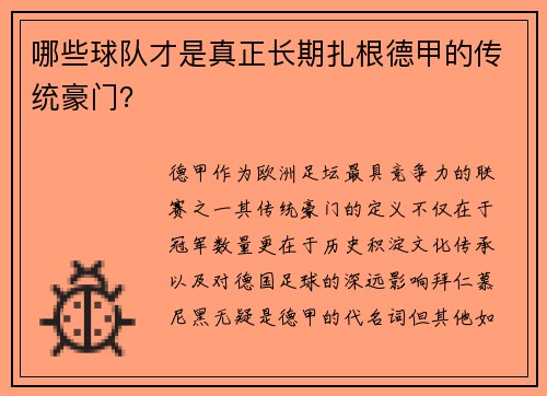 哪些球队才是真正长期扎根德甲的传统豪门？